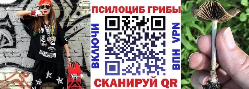 Псилоцибиновые грибы ЛСД  Шимановск 